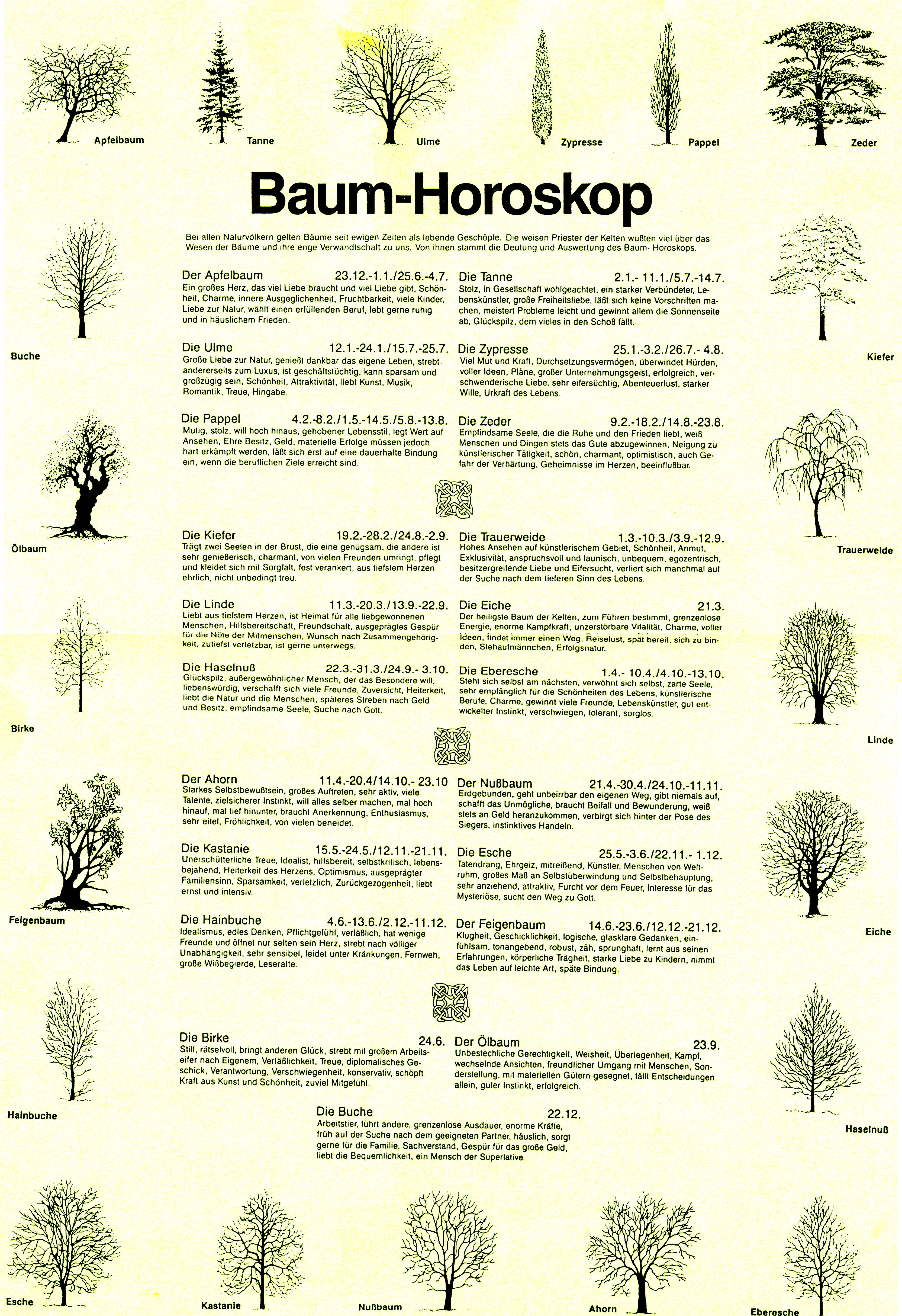Baumhoroskop