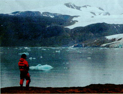 Blomstrand-Gletscher 2002